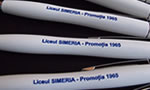 Pixuri plastic cu insertii metalice personalizate