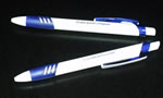 Pixuri plastic personalizate